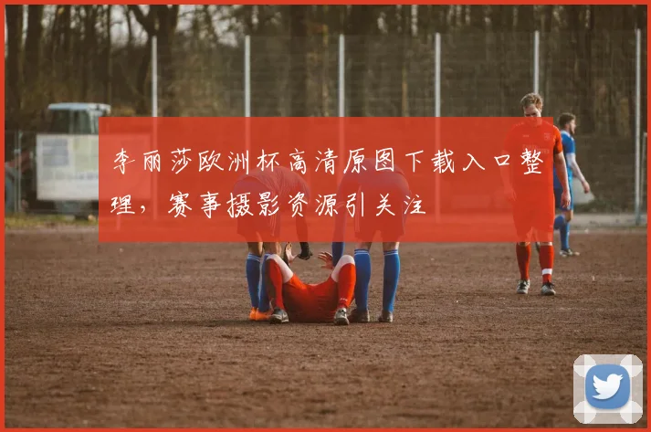 李丽莎欧洲杯高清原图下载入口整理，赛事摄影资源引关注