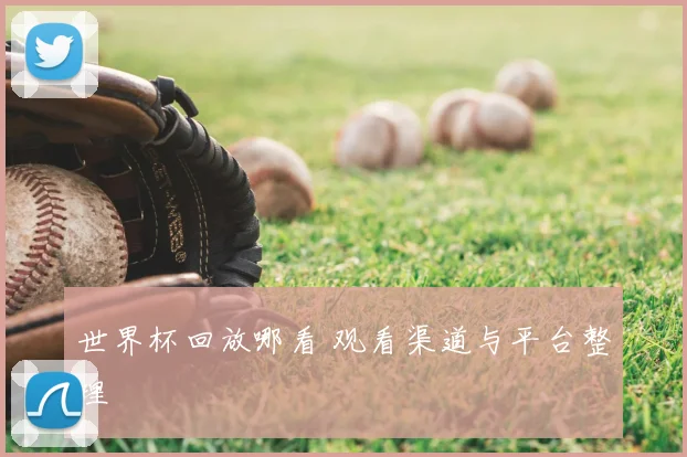 世界杯回放哪看 观看渠道与平台整理