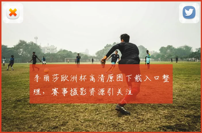 李丽莎欧洲杯高清原图下载入口整理，赛事摄影资源引关注